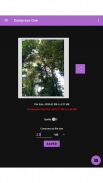 QReduce Multi: Crop & Compress screenshot 7