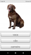 के साथ पुर्तगाली शब्द सीखें Smart-Teacher screenshot 16