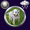 Puppy Clock & Weather Widget