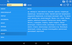 Dal Russian Dictionary screenshot 3