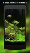 3D Fish Aquarium Wallpaper HD screenshot 2