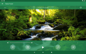Relájese Bosque ~ Sonidos de la naturaleza screenshot 12