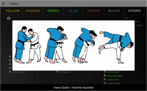 Jujitsu screenshot 10