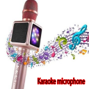 Karaoke microphone