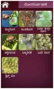 Grape Kannada screenshot 2