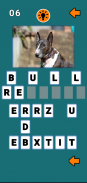 Guess the Dog Breed - Dog Quiz screenshot 3