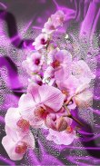 Orchids live wallpaper screenshot 1