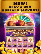 Buffalo Jackpot - Online casino and Slot machines screenshot 8
