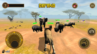 Lion Chase screenshot 2