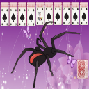 Spider Solitaire X Icon