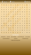 Astraware Wordsearch screenshot 3