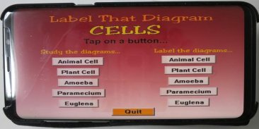 Label that Diagram - Cells screenshot 5