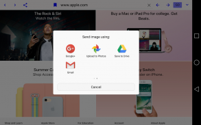 Dual Browser (Paid) screenshot 7