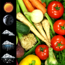 Fresh Vegetables Widget Clock