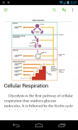 Biology and Life Sciences screenshot 3