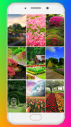 Garden Wallpaper screenshot 5