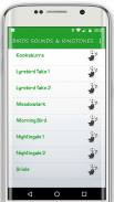 أصوات الطيور و نغمات عصافير screenshot 2