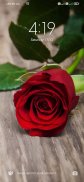 Rose HD Wallpaper screenshot 2