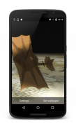 Wooden Airplane Live Wallpaper screenshot 0