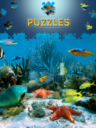 Free Dolphin Jigsaw Puzzles screenshot 1