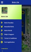 Birds Life screenshot 6