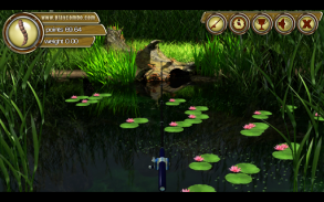 Backwater Fishing screenshot 3