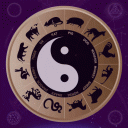 Chinese Astrology