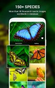 Insect identifier by Photo Cam screenshot 15