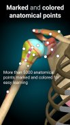 Anatomy Learning – Atlas de anatomia 3D screenshot 2