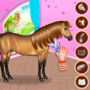 Horse Hair Salon