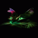 Neon Cat Live Wallpaper Icon