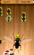 Beetle Smasher screenshot 7