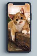 बिल्ली का बच्चा वॉलपेपर screenshot 1