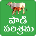 Paadi Parisrama Dairy Farming Telugu