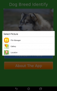 Dog Breed Auto Identify Photo screenshot 3