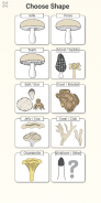 Shroomify - Mushroom Identific screenshot 10