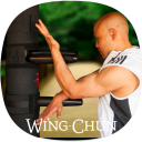 Wing Chun Guide - Baixar APK para Android | Aptoide