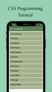 Learn CSS screenshot 1