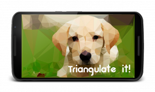 Triangulate it! screenshot 1