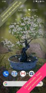 Bonsai 3D Live Wallpaper screenshot 0