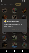 Rooster Sounds und Klingelton screenshot 2