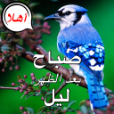 من صباح الخير الى ليلة الحب Icon