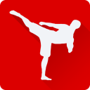 Fighting Trainer - Learn Martial Arts at Home Icon