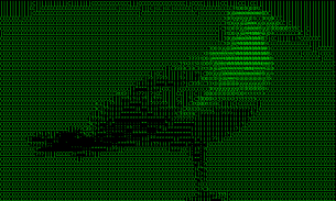 ASCII cam lite screenshot 0