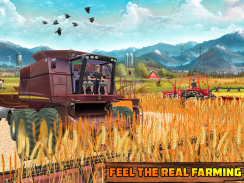 Khakassia Organic Tractor Farm screenshot 12