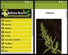 Medicina natural gratis, plantas que curan screenshot 2