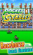 Pocket Stables Lite screenshot 4