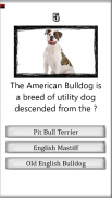 Strong Dogs Quiz - Fun Facts Dog Trivia Quiz screenshot 2