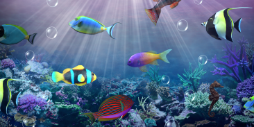 Aquarium live wallpaper screenshot 0