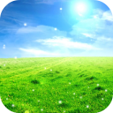 Nature HD Icon